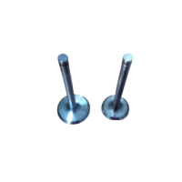 VENTIL MOTORA LDA520/530 SET