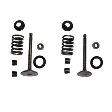 SET VENTILA KIPOR 178F - VENTILII,GUMICE, PODMETAČI, OPRUGE