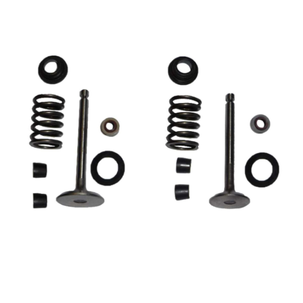 Set ventila Kipor 178F - ventili,gumice, podmetači, opruge